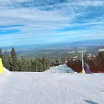 Arboro Royal Plaza Borovec