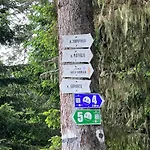 Arboro Royal Plaza Borovec