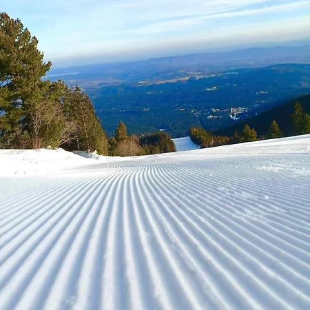 Arboro Royal Plaza Apartamento Borovets