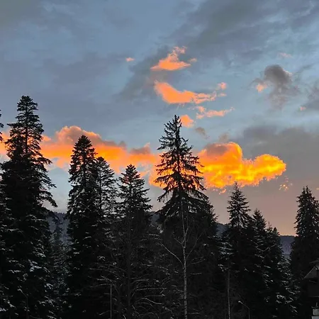 Apartamento Arboro Royal Plaza *