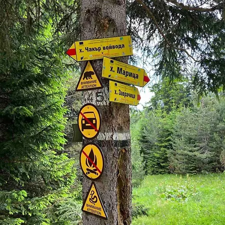 Arboro Royal Plaza Apartamento *