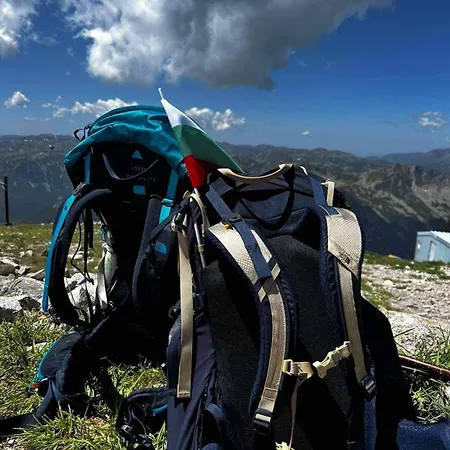 Apartamento Arboro Royal Plaza