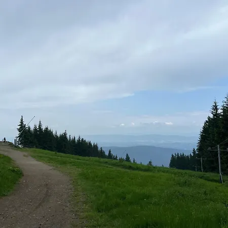 Arboro Royal Plaza Apartamento *