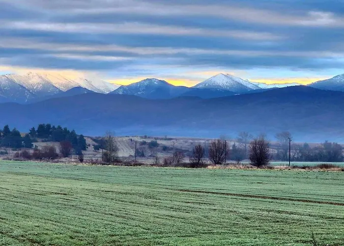 Appartement Arboro Royal Plaza