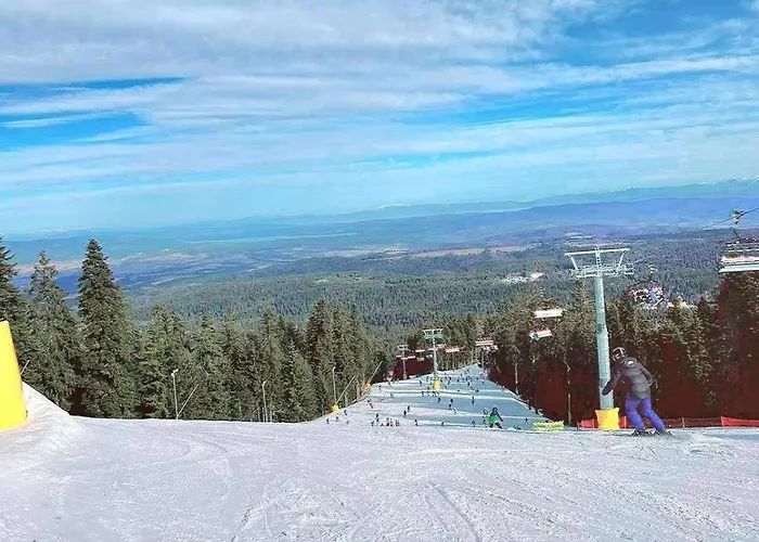 Arboro Royal Plaza Borovets