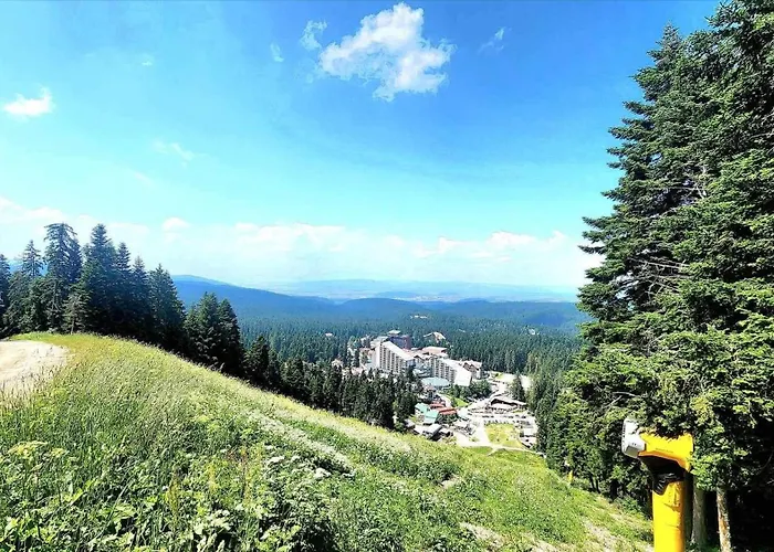 Arboro Royal Plaza *