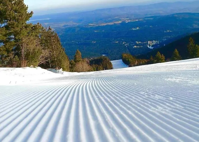 Arboro Royal Plaza Апартаменты Боровец