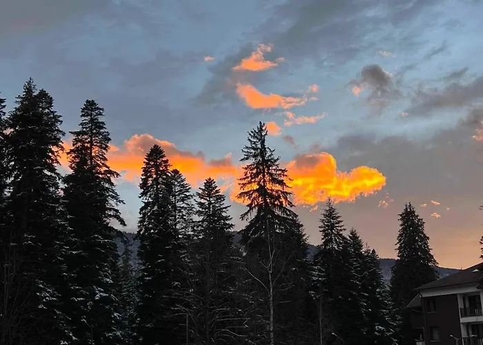 Appartement Arboro Royal Plaza *