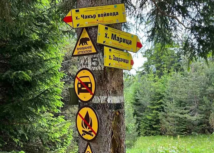 Arboro Royal Plaza Апартаменты *