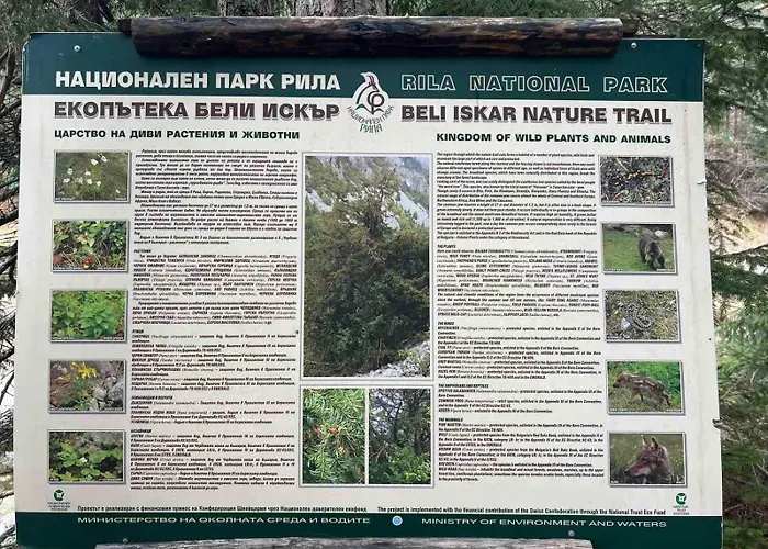 Arboro Royal Plaza Appartement