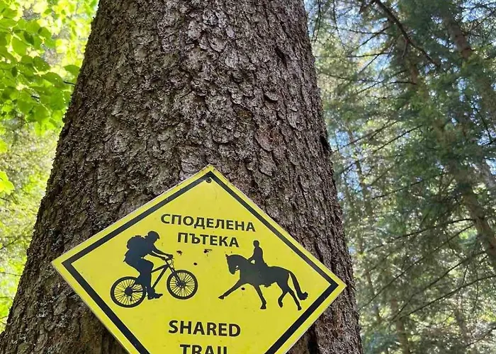 Arboro Royal Plaza Borovets