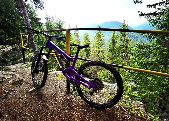 Arboro Royal Plaza Боровец