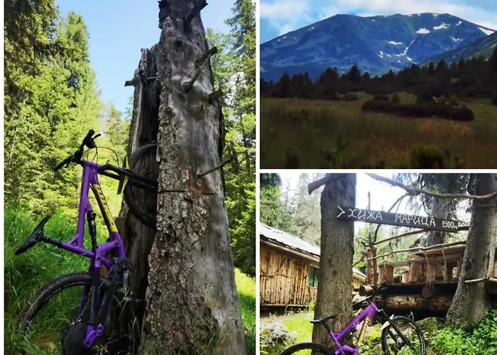 Апартаменты Arboro Royal Plaza *