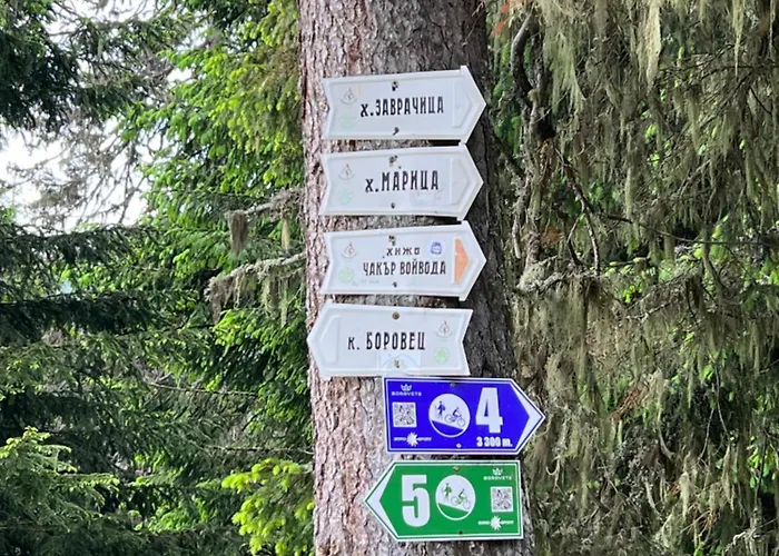 Arboro Royal Plaza Боровец